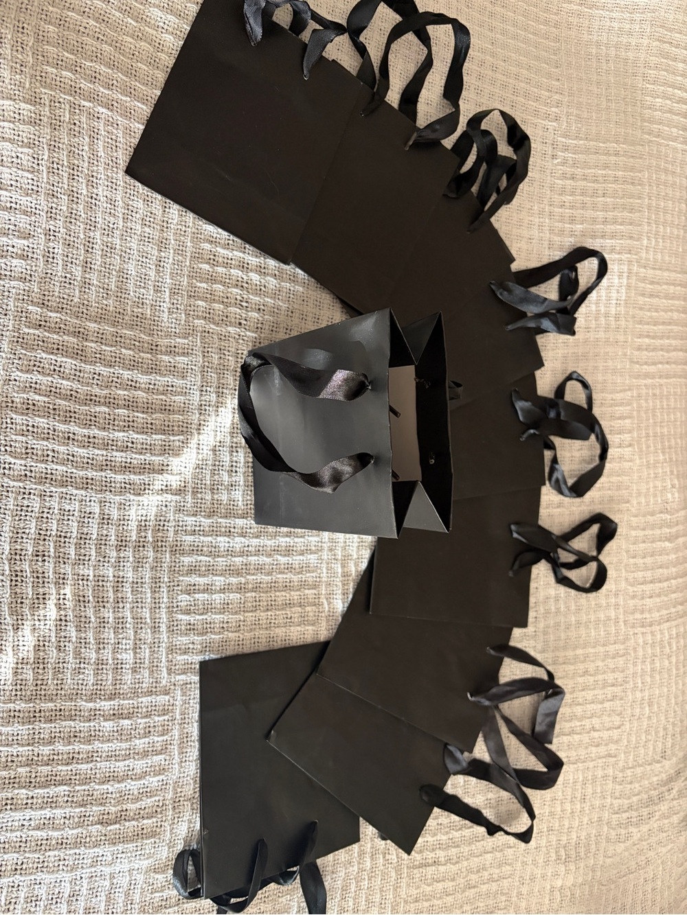 Premium Black Satin-Handle Gift Bags – Set of 10 NEW